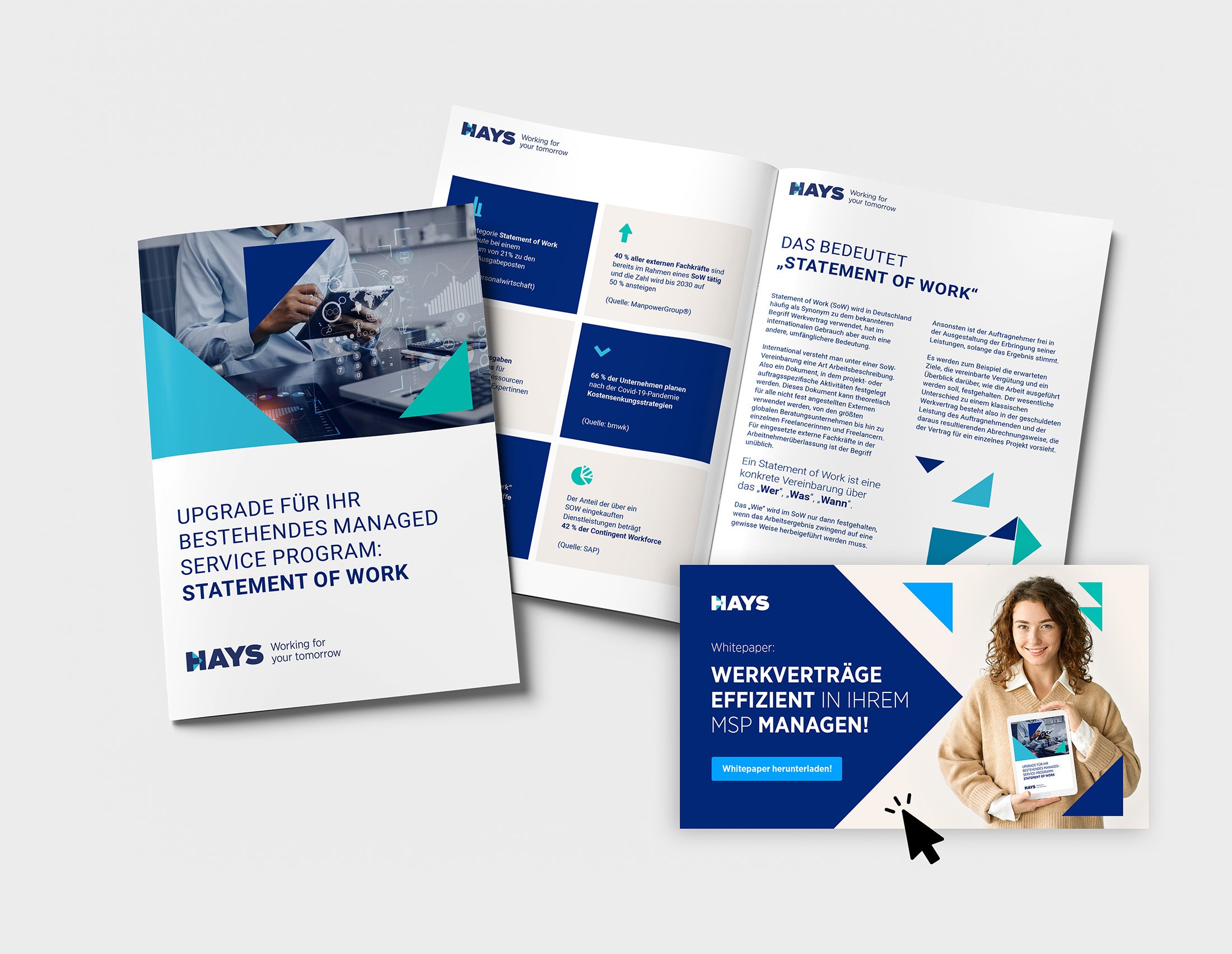 260622_hays_whitepaper2