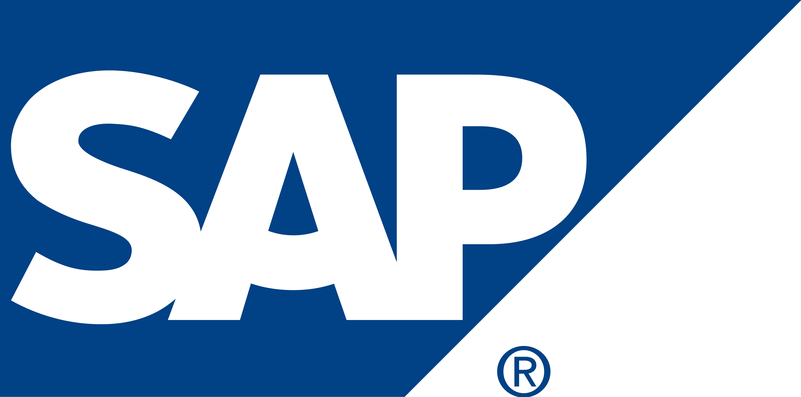 evernine-sap-logo